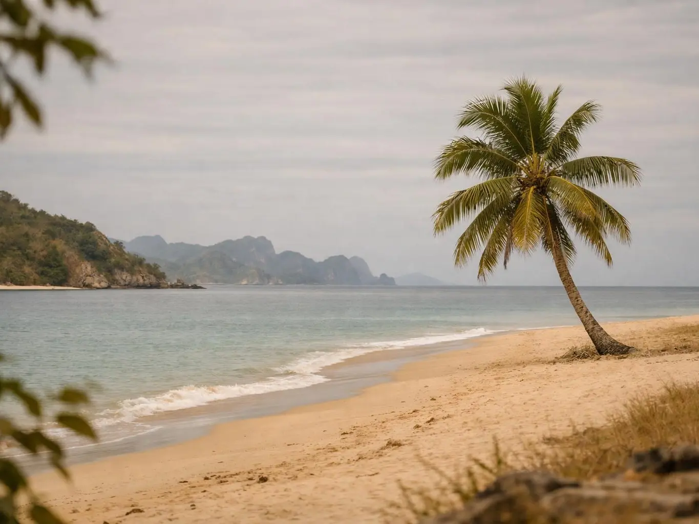 FAQs about Film production Madagascar — results